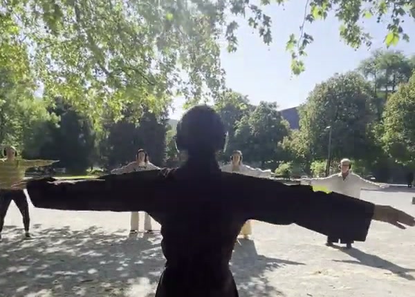 Qigong Park Zürich — outdoor Qigong practice in Platzspitz Park